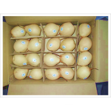 New Crop Fresh Delicious Ya Pear (60/72/80/96/112)